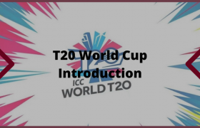 T20 Brief Introduction