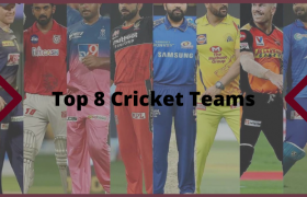 Top 8 Cricket Teams